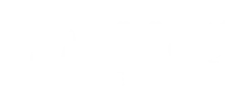 AAS Properties X Roots Scale Marekting Agency