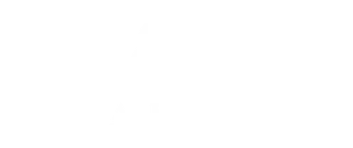 Al Feroze x Roots Scale Marketing Agency