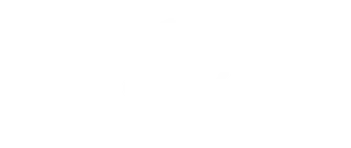 EZY MIX x Roots Scale Marketing Agency
