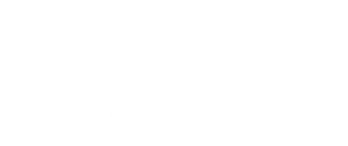 Fly Light X Roots Scale Marketing Agency