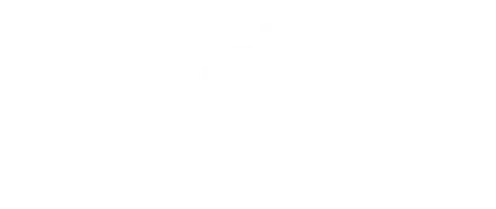 High Return X Roots Scale Marketing Agency