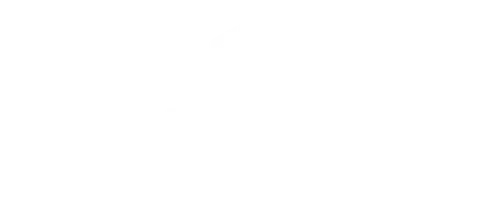 Property In x Roots Scale Marketing Agency